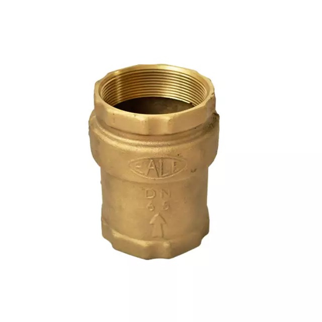 Válvula de Retenção Vertical 2.1/2